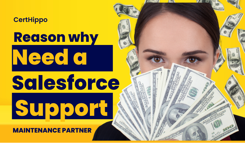 Elevating Your Salesforce Experience: Unveiling the Importance of a Support and Maintenance Partner