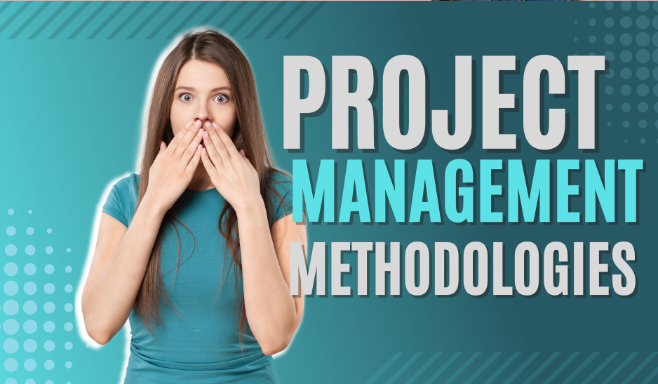 Navigating Project Success: Unveiling the Diversity of Project Management Methodologies